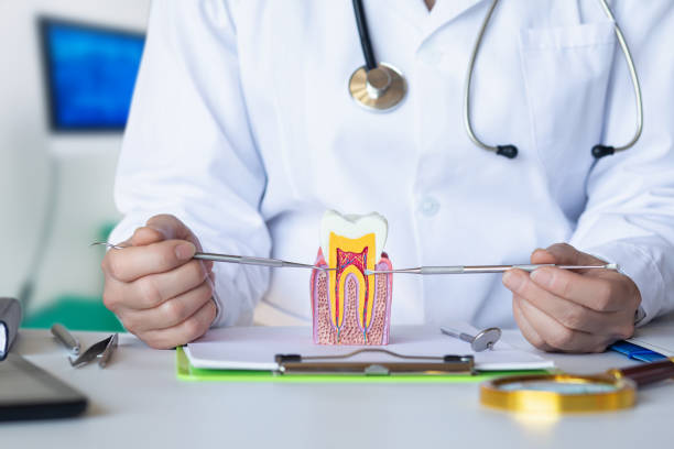 Best Emergency Tooth Extraction in Neffs, OH